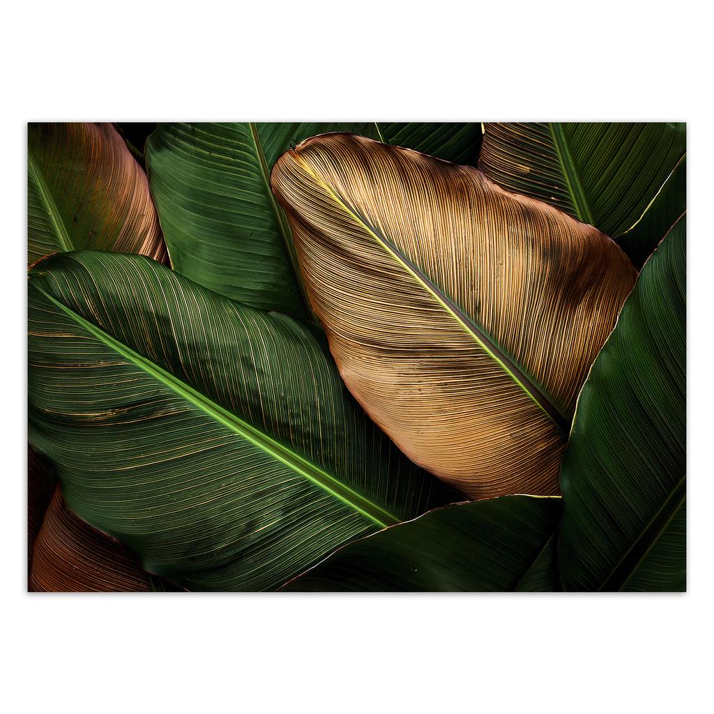 Wallpaper Gold and Green Leaves