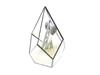 Geometric Glass Rhombus Greenhouse Ornament: European Wine Cabinet Micro Landscape & Preserved Flower Pot Craft