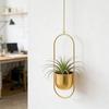 Minimalists Golden Hanging Planter With Adjustable Chain Corrosions Resistant for Home Office Decoration