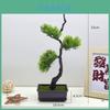 Faux Pine Tree Artificial Plastic Landscape Accent For Home Office Decor