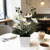 Butterfly Orchid Artificial Plant With Plastic Pot For Home Decor And Events