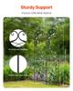 2 Packs Metal Garden Trellis for Climbing Plant Support 60x15 In Rustproof