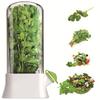 Herb Preserver Extenders Maintains Freshnesses 2 3 Interval Visible Lid Ventilated Bottom Safe for Refrigerator Storage