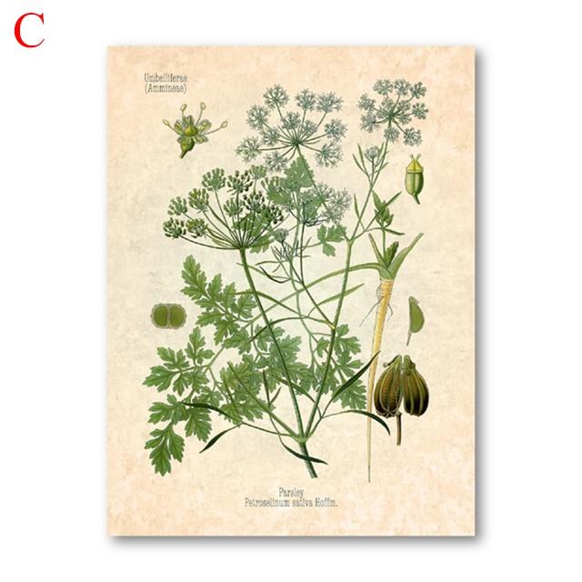 Würzige Kräuter Poster Druck Petersilie Salbei Rosmarin Thymian Kochen Wand Kunst Bild Leinwand Malerei Moderne Küche Home Dekoration