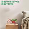 Cycle Shaped Metal Plant Stand for Indoor & Outdoor Use, Decorative Planter Pot for Flowers & Ornaments,