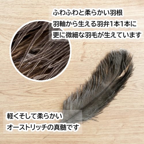 ESCI Ostrich DX Fuzz Brush, M260, Made In Japan with First-Class Ostrich Floss Feathers! Approximately 105cm Long, Includes Case.