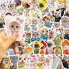 62 Cartoon Cat Meme Doodle Stickers Decorate Guitar Notebook Suitcase DIY Waterproof