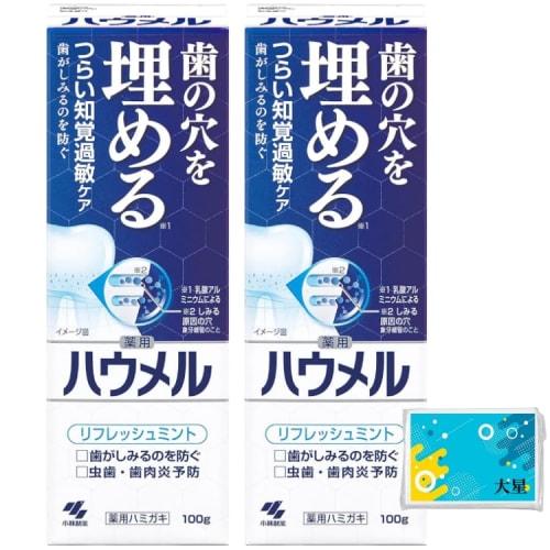 

[Set of 2] Haumel Sensitive Toothpaste, Fills Dental Holes, 100g + Original Tissues