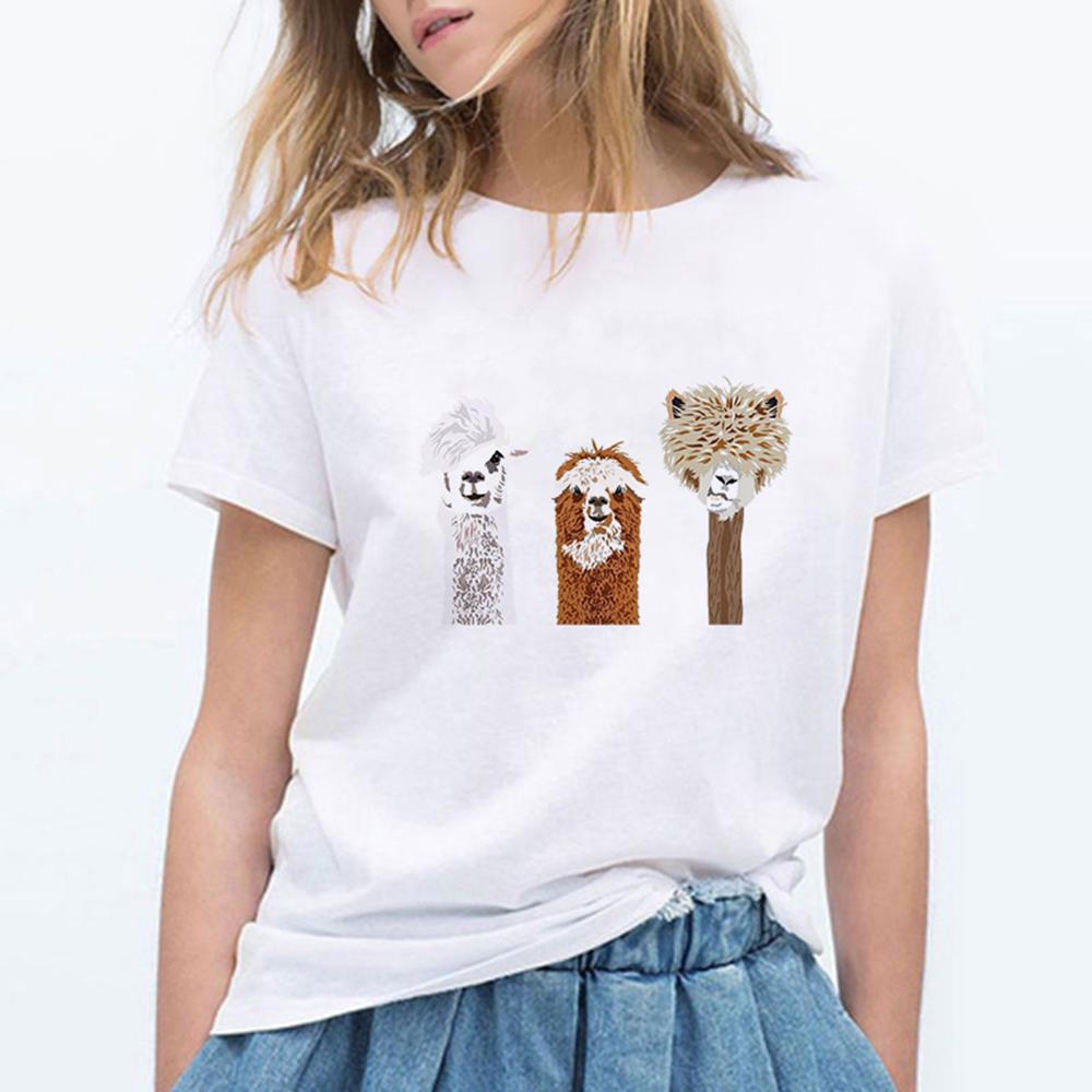 pretty shirts for women