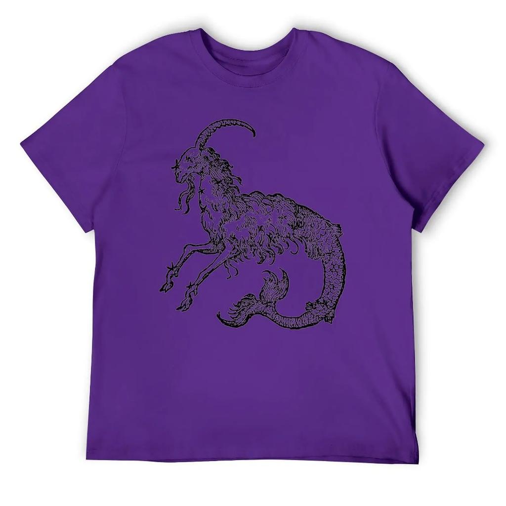 Capricorn Twelve Constellation (4) T-shirt Harajuku Move Tshirt Vintage Home Funny Novelty USA Size