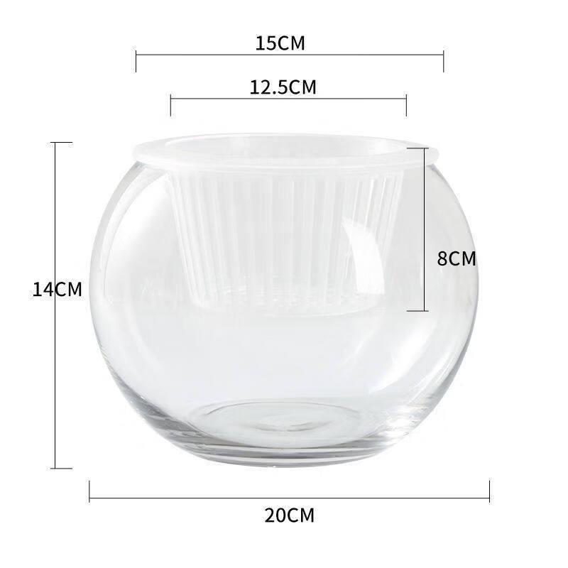 Self-Watering Round Hydroponic Vase
