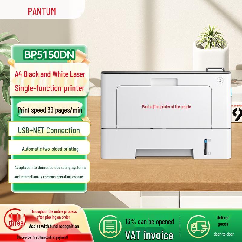Pantum A4 Black & White Laser Printers & Multifunction Devices CN plug (adapter included)