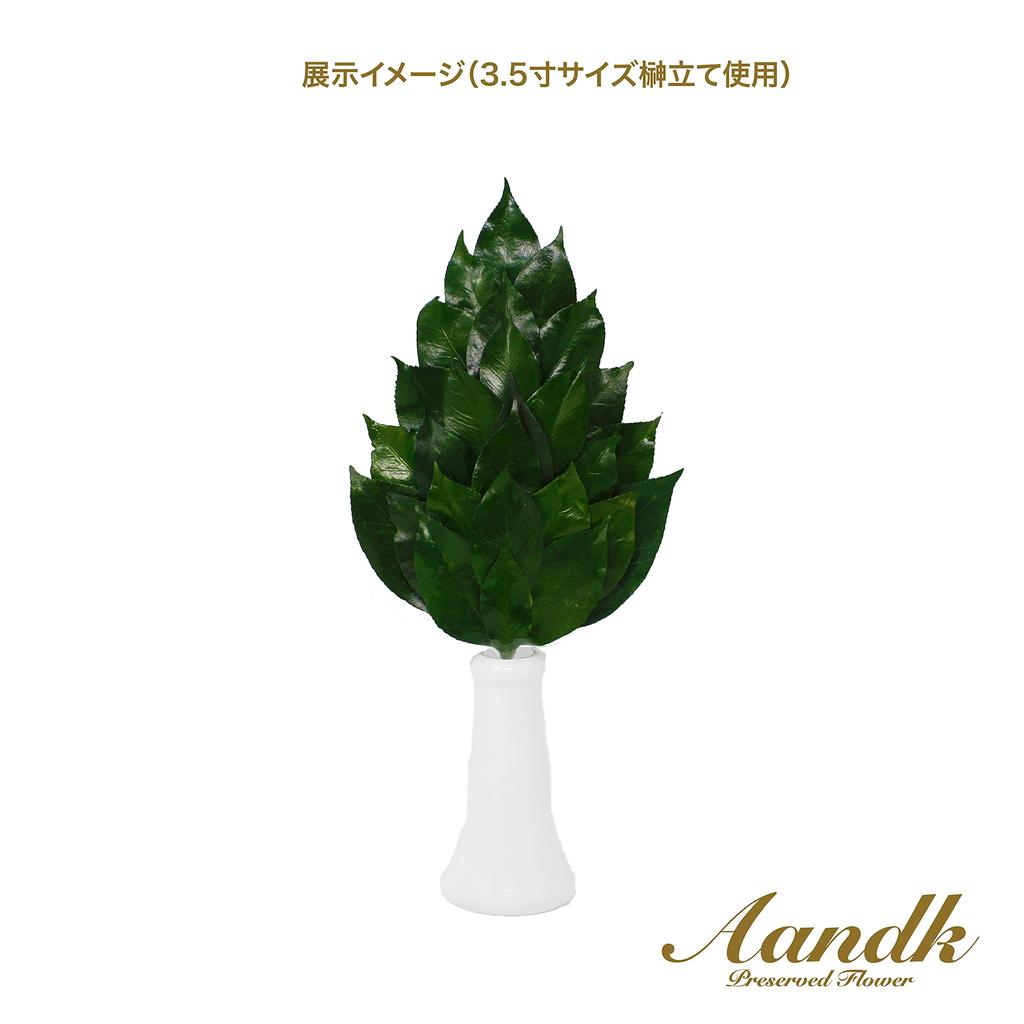 A&K Sakaki Kiwami, a Budget-friendly, Large, Extra-thick Sakaki Tree. Made with Fresh, Domestically Grown, Natural Sakaki Leaves. Heat-resistant,
