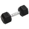 VidaXL Dumbbells 2 Pcs 16 Kg Total Cast Iron, Dumbbell Set, Hex Dumbbell, Weight Plate, Weight Bar 93603
