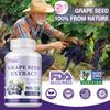 Pslalae Druivenpitextract Capsules, Rijk aan Polyfenolen, 400 mg Druivenpitextract Per Portie, Geschikt voor Volwassenen