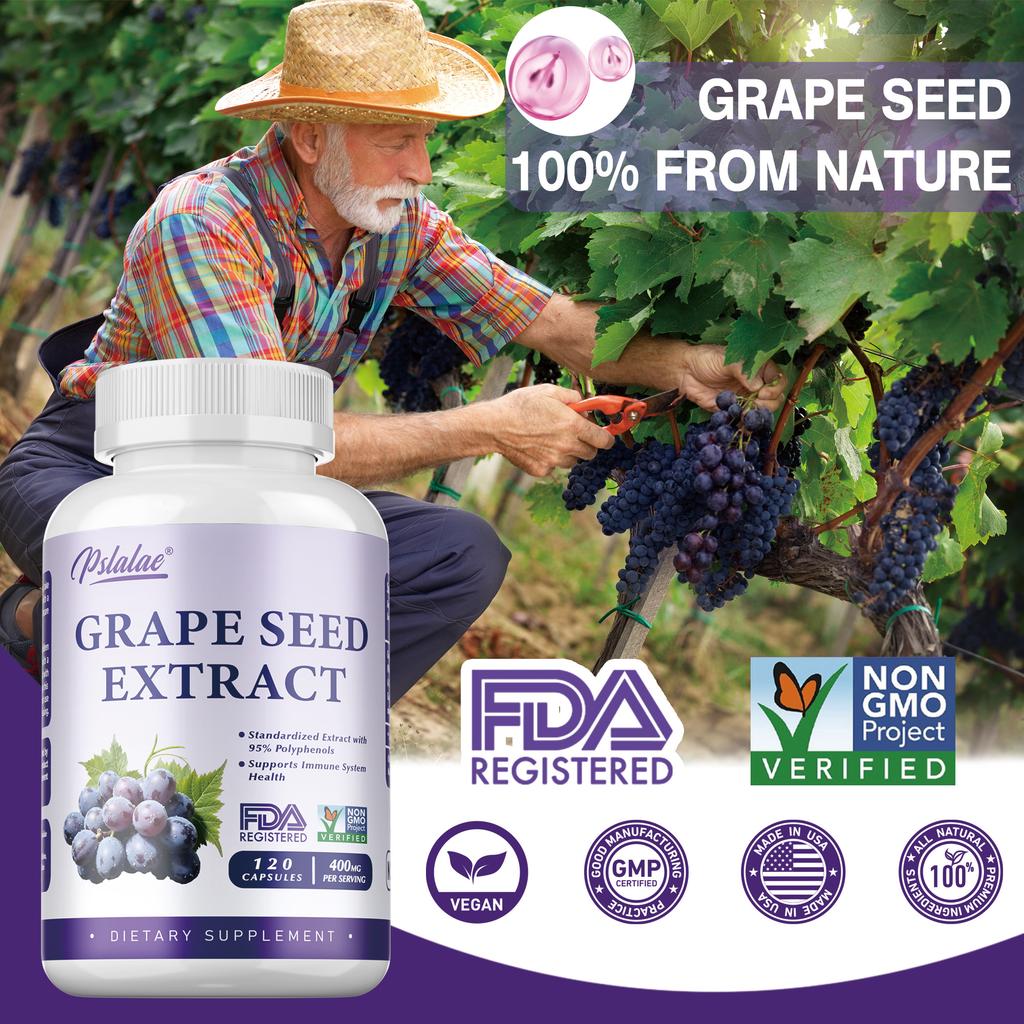 Pslalae Druivenpitextract Capsules, Rijk aan Polyfenolen, 400 mg Druivenpitextract Per Portie, Geschikt voor Volwassenen