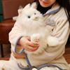 Exquisite Persian Cat Doll High Quality Doll Home Decor Birthdya Gifts For Friends Simualtion Pets Doll