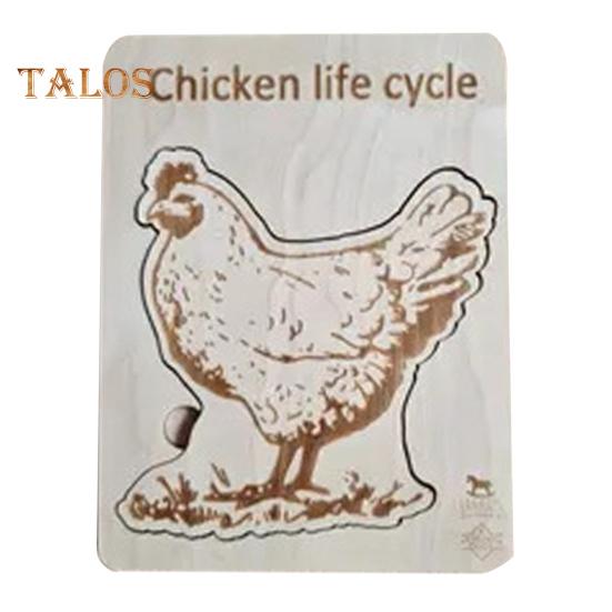 Holzpuzzle Lebenszyklus, mehrschichtiges Tier-Insekten-Pflanzenwachstums-Puzzle, Vorschul-Lernpuzzle, Spielzeug für Kinder, Jungen und Mädchen