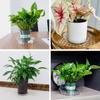 5pcs 6/8/10/12 Inch Drip Trays Round Plant Base Water Pan Plastic Flower Pot Tray  Potted Plant