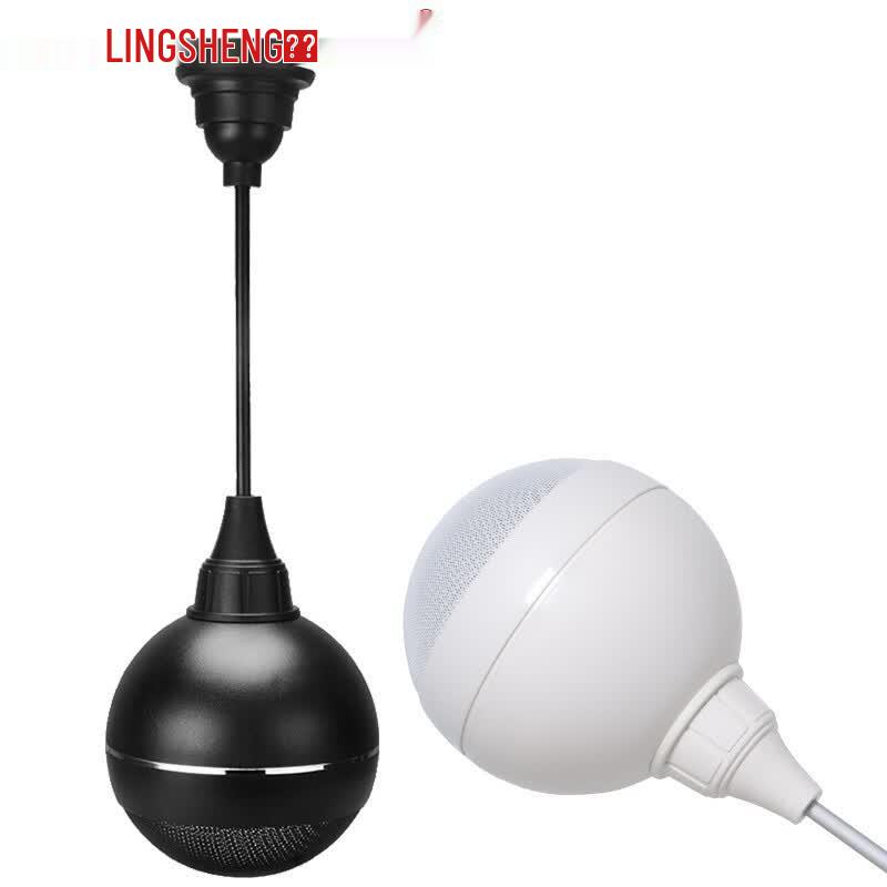 Ling Sheng DS-106 Pendant Ceiling Speaker (CN version)