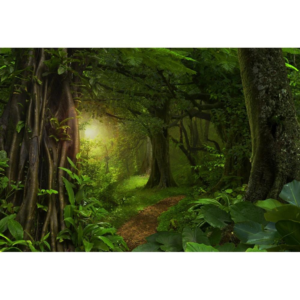 Spring Forest Backdrop Tropical Jungle Rainforest Backdrops for Photography Camping Adventure Birthday Background Photo Studio