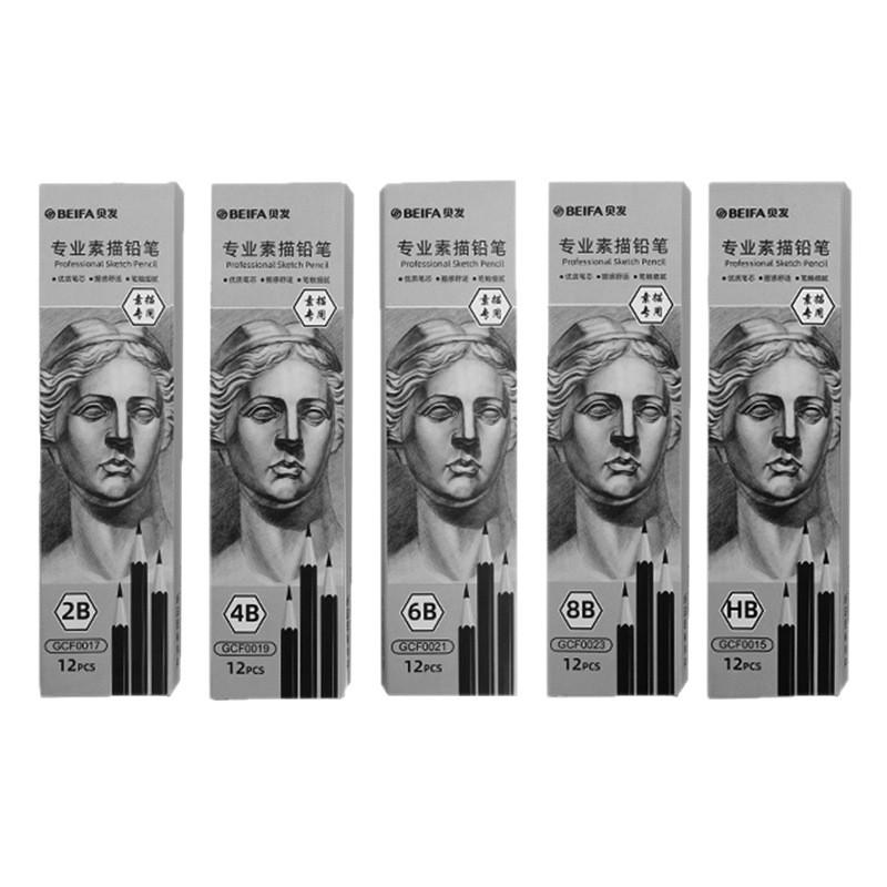 Beifa Professionelles Skizzenstift-Set: 12 HB-8B für Kunststudenten