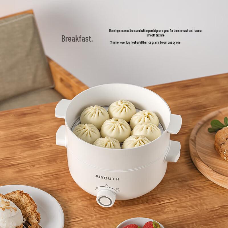 AIYOUTH 3L Multi-functional Electric Cooking Pot with Steamer
