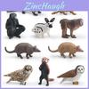 Wildlife Animal Rabbit Armadillo Macaque And Panda Model Collection Pvc Educational Figures For Kids Preschool Learning