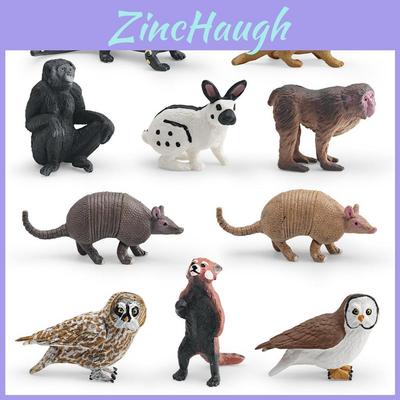 Wildlife Animal Rabbit Armadillo Macaque And Panda Model Collection Pvc Educational Figures For Kids Preschool Learning
