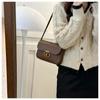 French Style Women's Bag 2023 Autumn And Winter New Tide Pure Color Pu Small Square Bag Street Fashion Daily Shoulder Bag