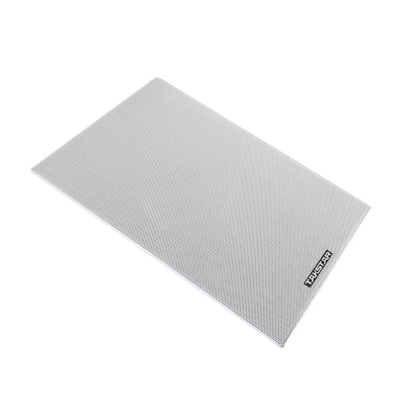 TAKSTAR EBS-6T Fixed Impedance In-Wall Speaker