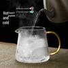 Heat-Resistant Glass Teapot with Stainless Steel Infuser