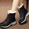 Winter Fleece-lined with Laces Chunky Waterproof High-top Ladies Shoes Chic and Elegant Trend 2025 Padded Hot Women's Snow Boots