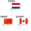Multinational Flag Toothpick Food Decor Pack For Fruit Garnishes And Cocktails