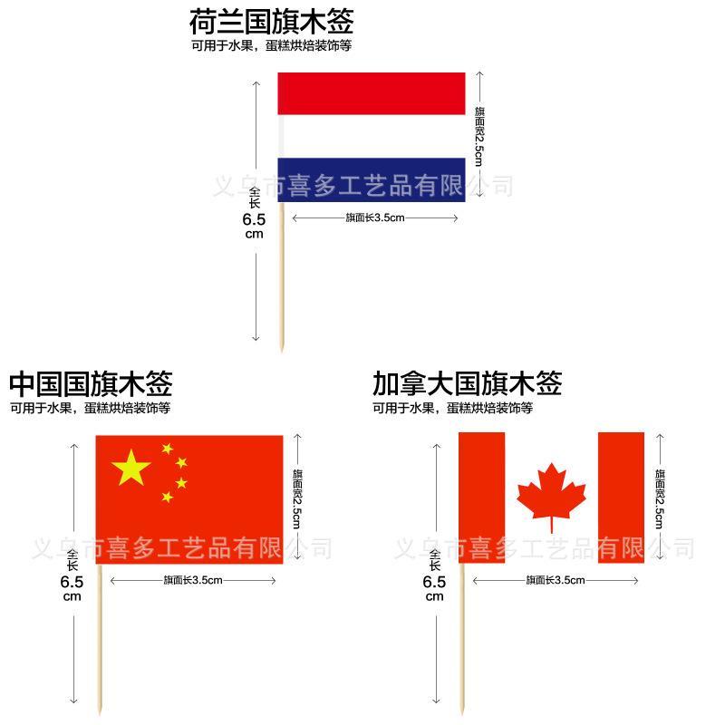 Multinational Flag Toothpick Food Decor Pack For Fruit Garnishes And Cocktails