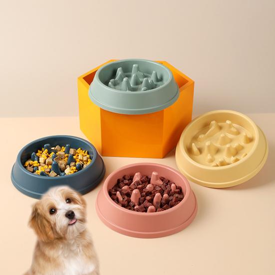 Pet Bowl Non-Slip Large Capacity Reusable Slow Feeder Dog Breed Food Bowl for Home Use