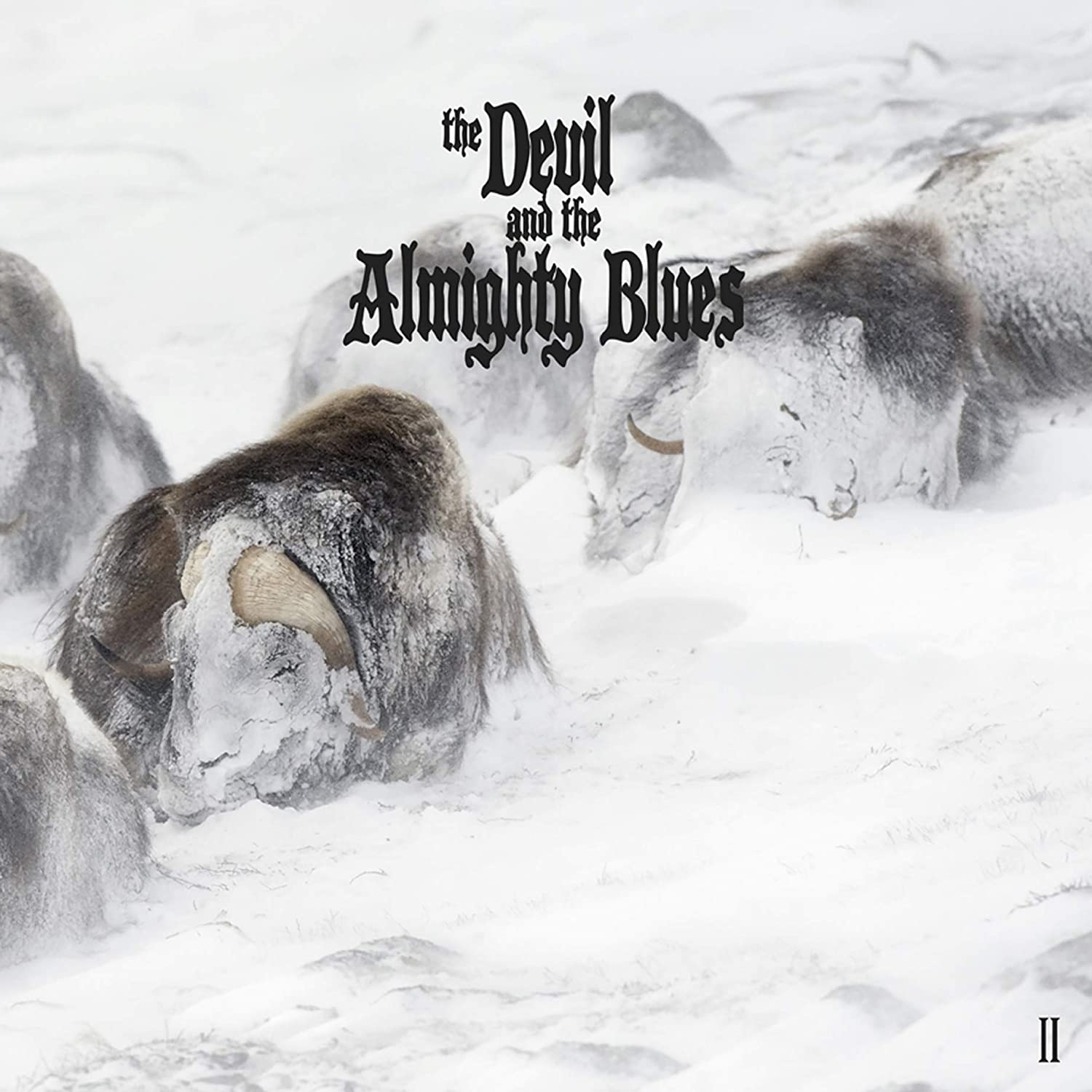 

CD DEVIL & ALMIGHTY BLUES - II BFTRSCD009 Blues For The R 2017 Japan Rock Used