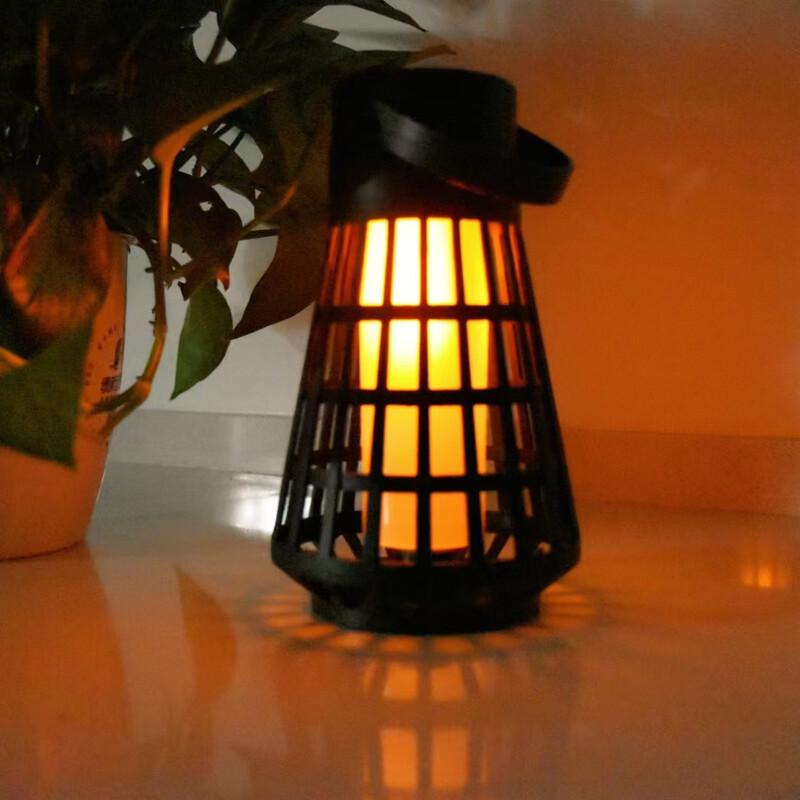 Xuan Yong Portable Solar Flame Garden Lights (2-Pack)