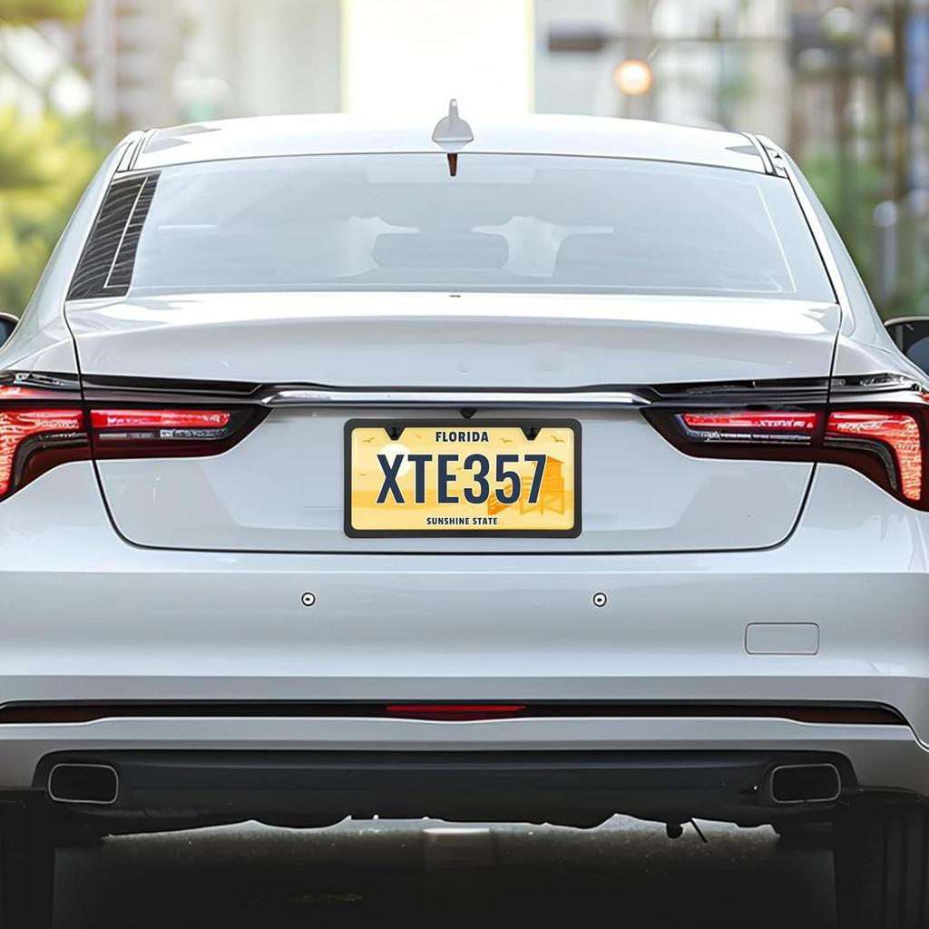 License Plate Frames Stainless Steel License Plate Cover Two Hole Slim Version License Plate Frame Flat License Plate Holder With Metal Screw Caps