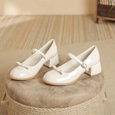 Pantofi Mary Jane pentru femei, cu vârf rotund, pantofi cu toc bloc, cu bretele pentru glezne, damă, ocazional, confort, tocuri groase, Mary Janes, pantofi eleganti pentru petrecere de nuntă