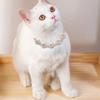 Pet Necklace Collar Luxury Shining Collars for Small Medium Bling Diamond Dog Chain Collar Crystal Rhinestone Dogs Cat Chihuahua