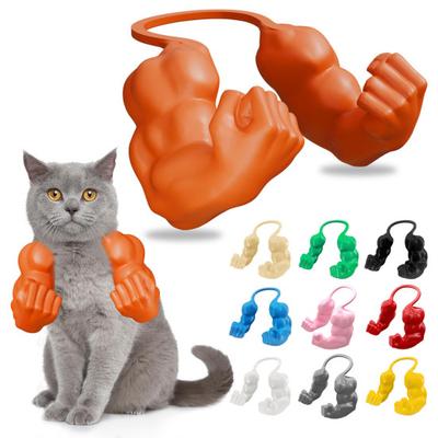 Gatti – Giocattoli per gatti