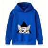 Kids Boys Girls Hooded Sweatshirt, Funny Peeking Cat Triangle Graphic Casual Pullover Hoodie, Soft Long Sleeve Streetwear for Children