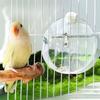 Hangable Birds Water Bottle Transparent Small Pet Water Bottle New Parrot Waterer  Indoor Use