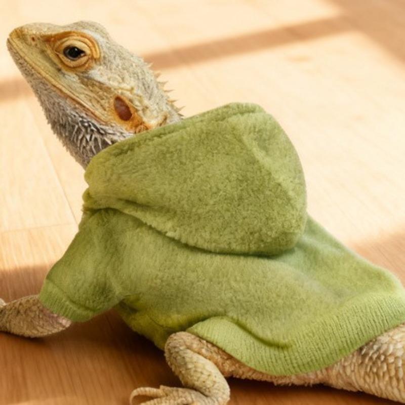 Echsen Kleidung Kapuzenpullover T-Shirt Reptil Outdoor Cosplay Kostüm Exotisches Haustier Kleidung Modisch Warm Kleines Haustier Outfit Entzückend