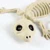 1Pcs Halloween Skeleton Bones Gecko Plastic Gecko Skeleton Model for Halloween Decoration Terror Scary Props