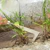 1PC Mower Sickle Road Crack Weeding Machine Crack Weeding ToolManual Weeding Machine