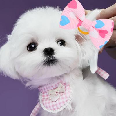 Fiocchi Piccoli per Capelli da Animale Domestico con Elastici Fiocco per Capelli Fatto a Mano Accessori per Animali Domestici per Toelettatura di Cani Cuccioli e Gatti