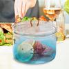 1500ML Glass Simmer Pot Transparent Gradient Glass Saucepan Household Heat-resistant Pot For Pasta Noodles Soup