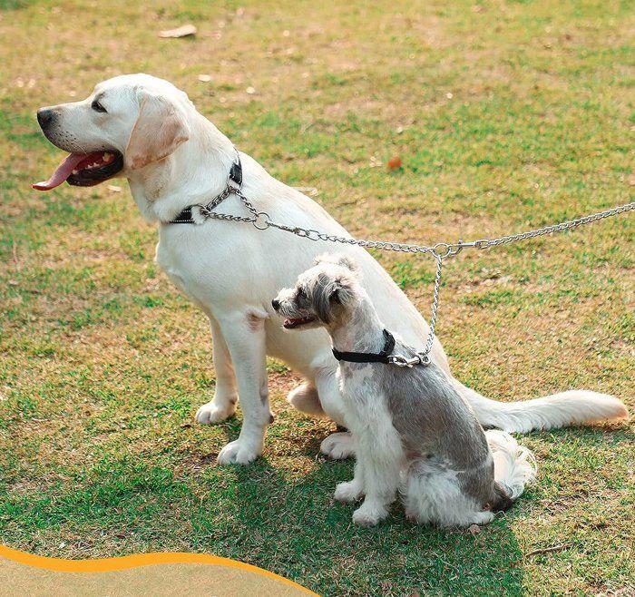 Laisse double pour chiens - QIEDOVIEY - 4.0MM - 70CM - Métal - Multi-positions